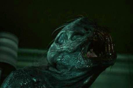 Animal (2014)
