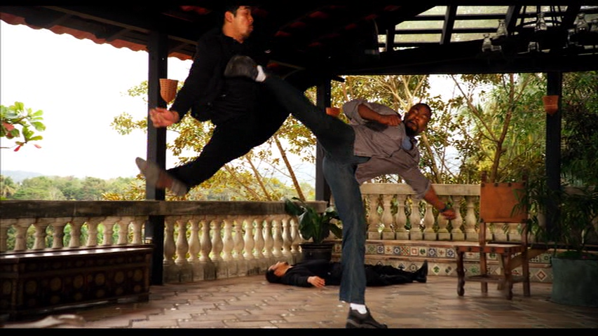 Falcon Rising (2014)