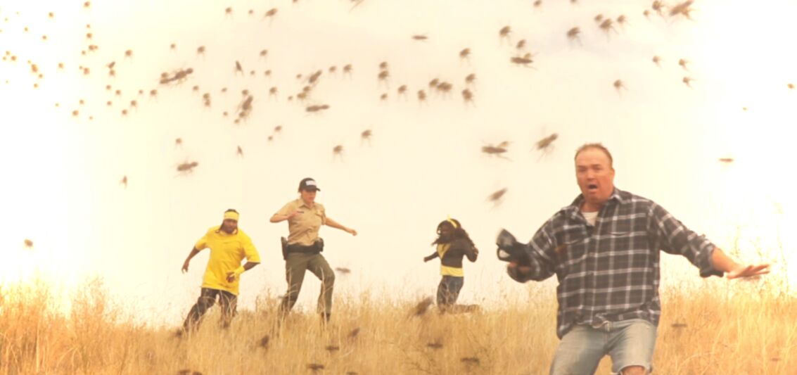 A New Threat Comes in the Form of “Tsunambee”