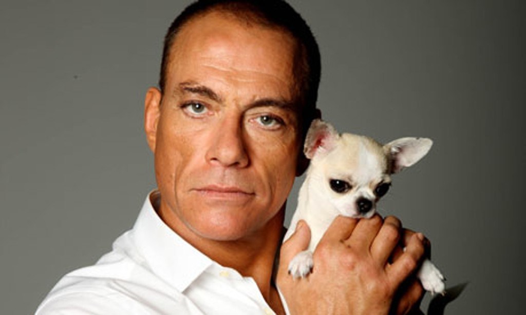 Van Damme to Become “The Bouncer”