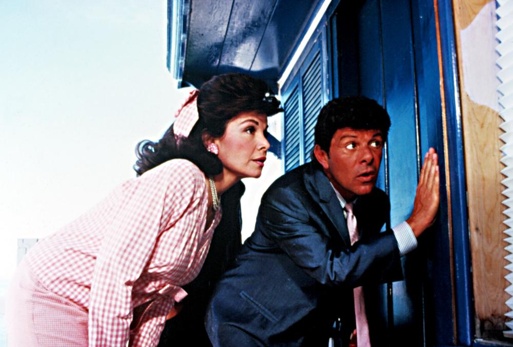 Back to the Beach (1987)