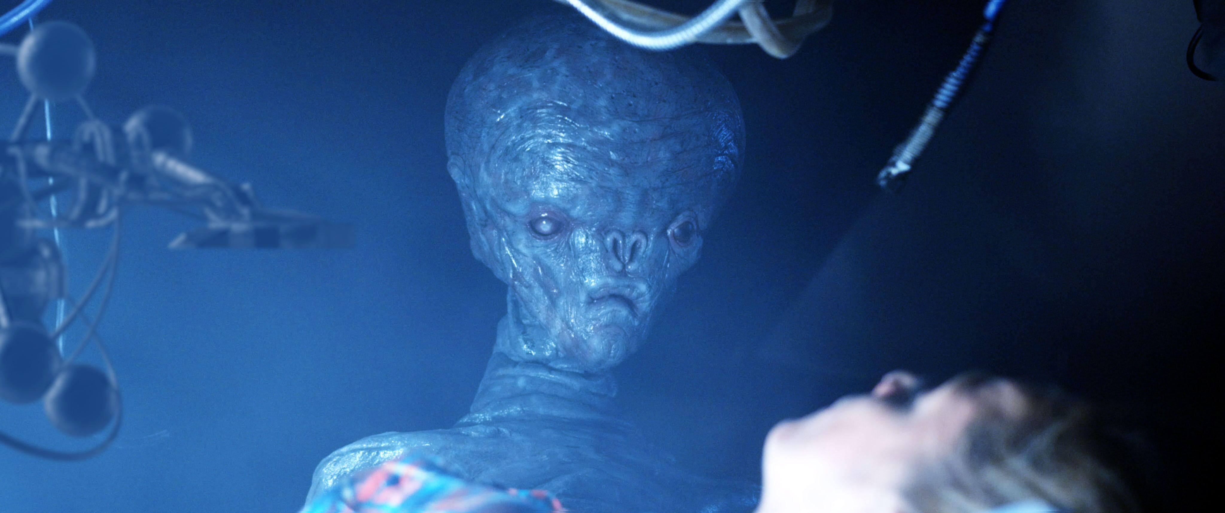 Xenophobia (2019)
