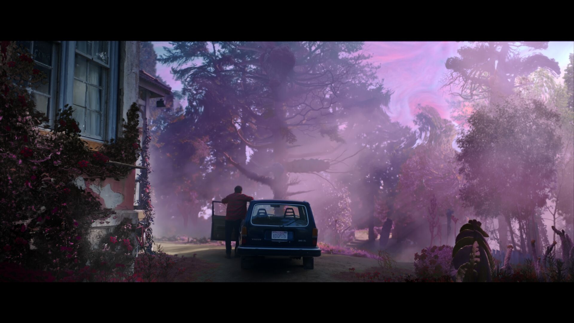 Cage Discovers the “Color” in Official Trailer