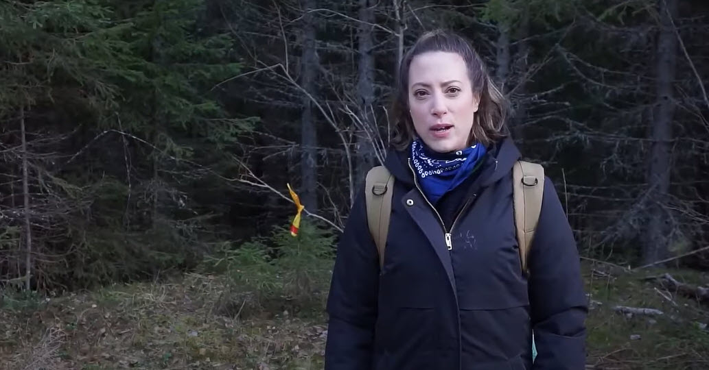 Reportage November (Sweden, 2022)
