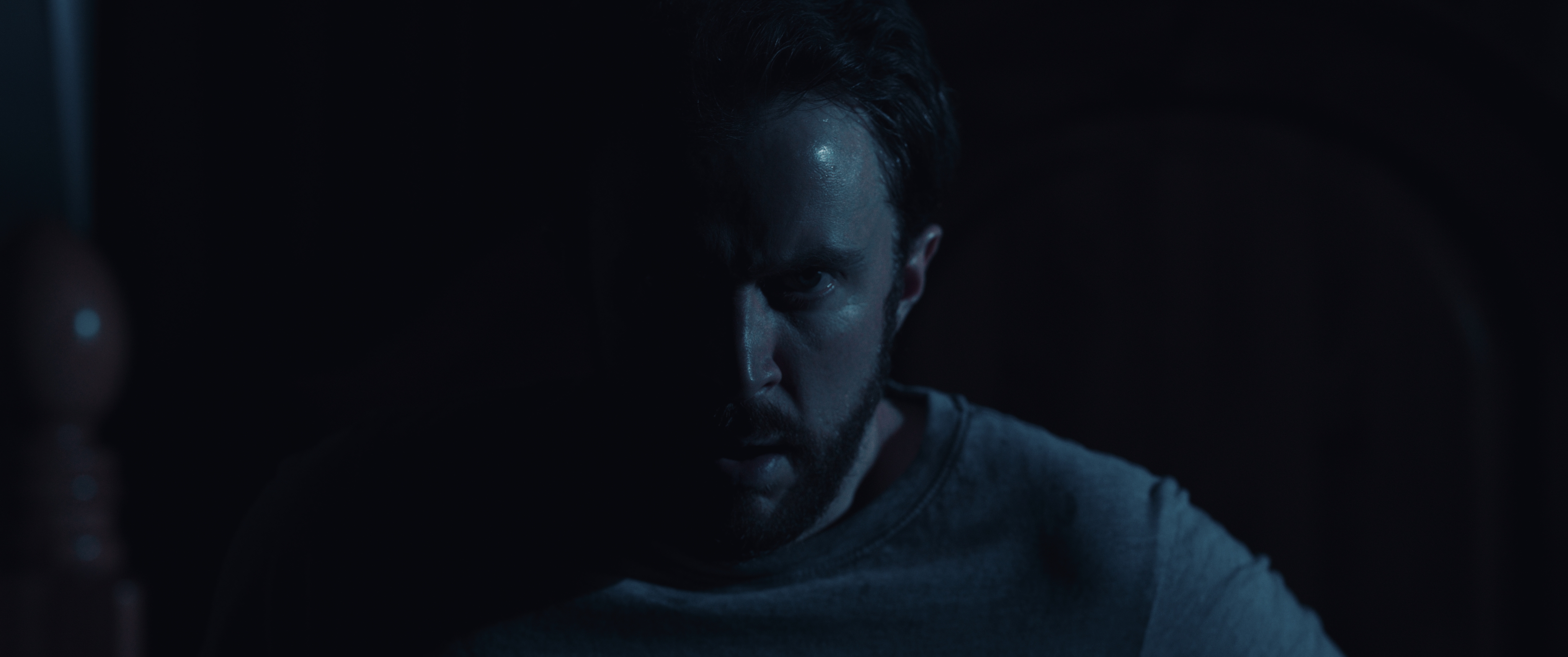 “Wolf Garden”: An Exclusive Interview with Wayne David