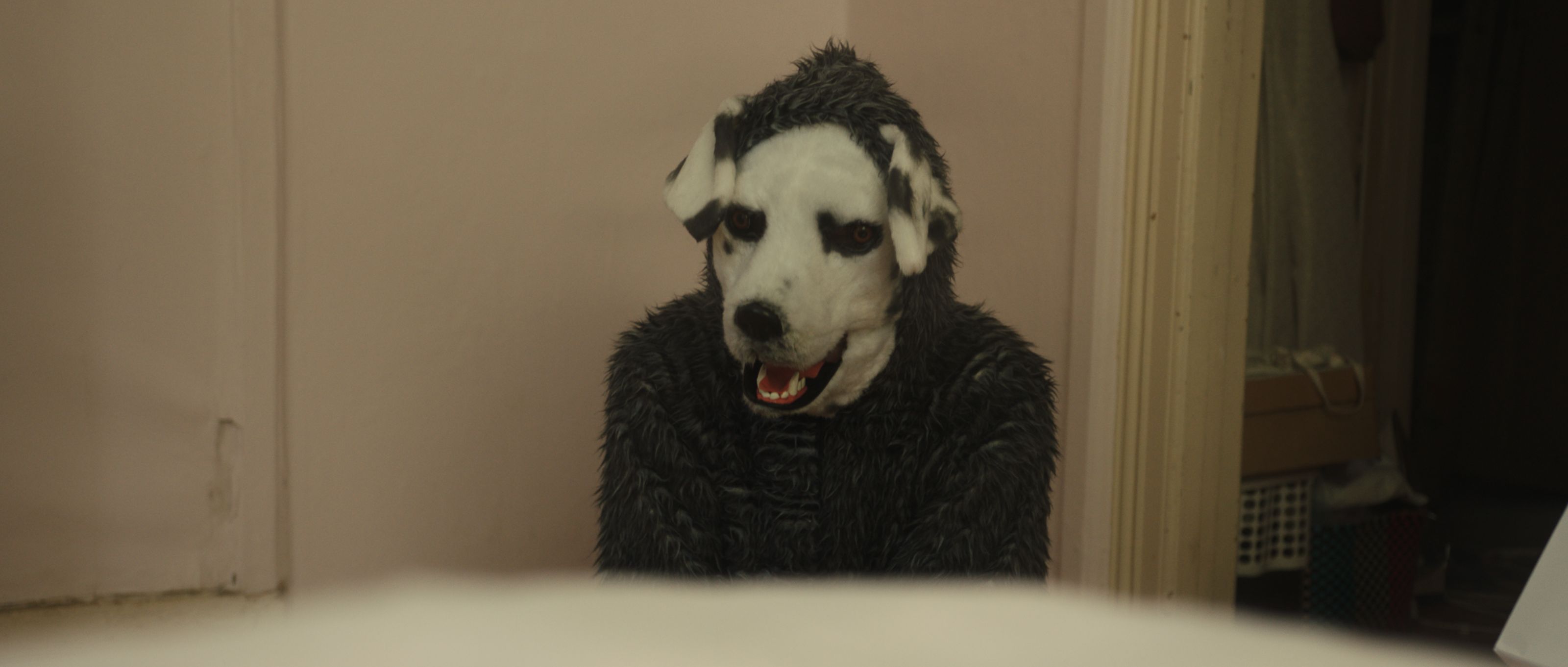 Frank is Not a “Good Boy” in Trailer