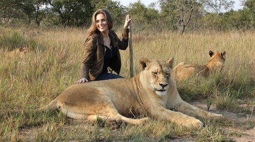 Lion Spy (Australia, 2024)