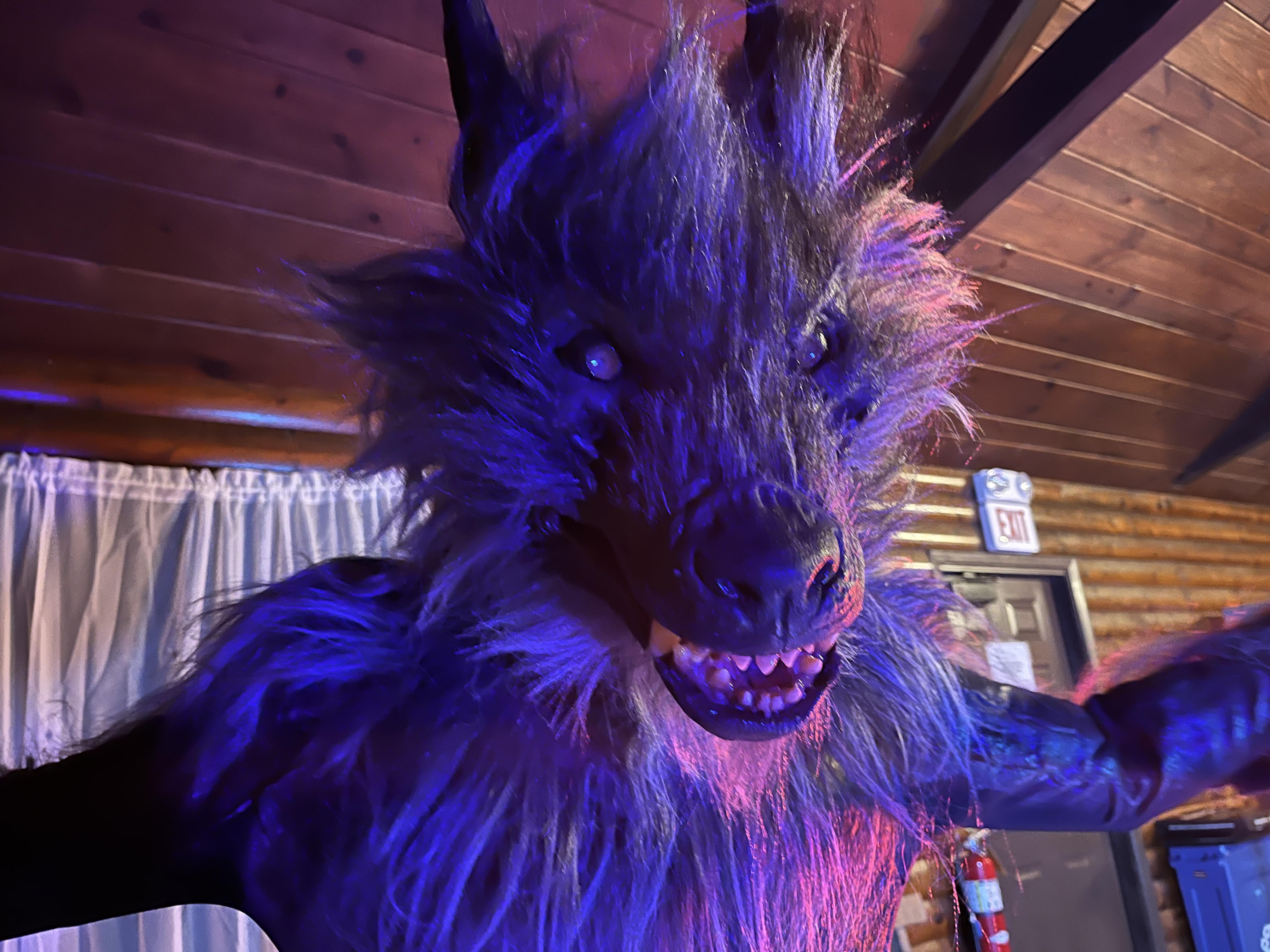 “Frenzy Moon”: An Exclusive Interview with Gregory Lamberson, Aaron Krygier, Gabrielle Nunzio, and Chad Ridgely